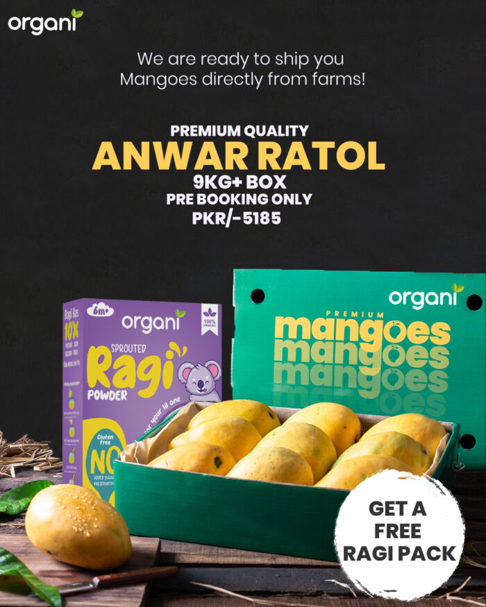 Fresh Organic Anwar Ratol Mangoes with Free Ragi Pack – Pre-Orders Only