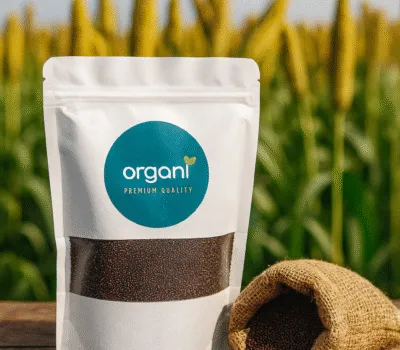 Sprouted Ragi Grains 400gm – Gluten Free