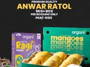 Fresh Organic Anwar Ratol Mangoes with Free Ragi Pack – Pre-Orders Only