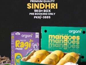 Fresh Organic Sindhri Mangoes with Free Ragi Pack – Pre-Orders Only