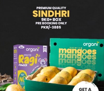 Fresh Organic Sindhri Mangoes with Free Ragi Pack – Pre-Orders Only