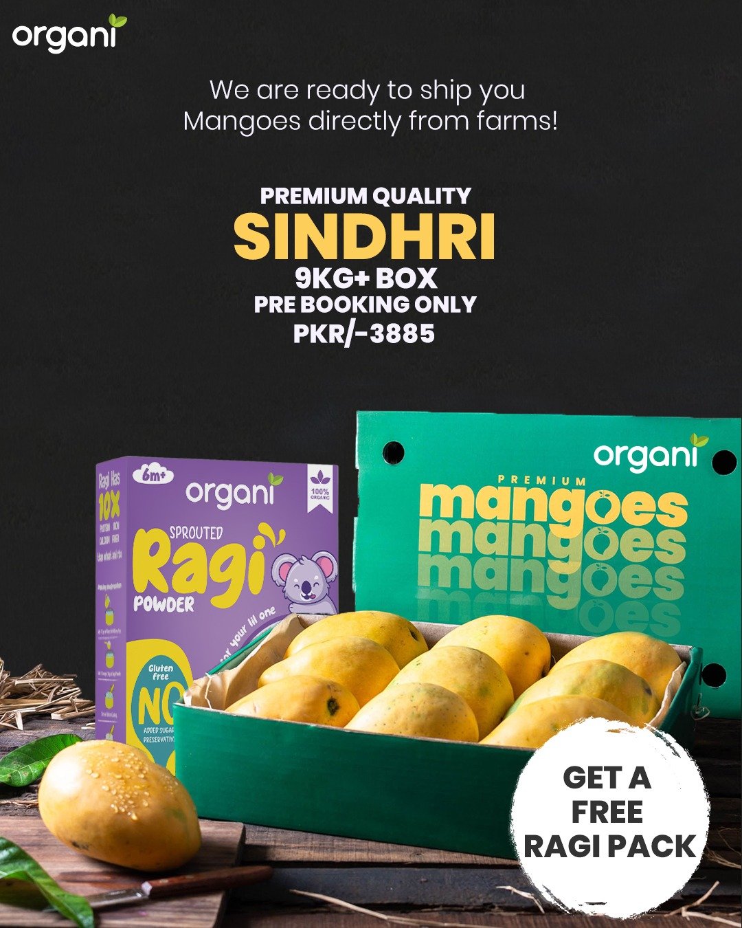 Fresh Organic Sindhri Mangoes with Free Ragi Pack – Pre-Orders Only